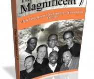 TheMagnificent7